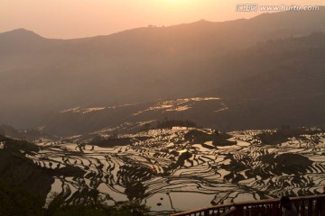 元阳梯田 多依树梯田风光