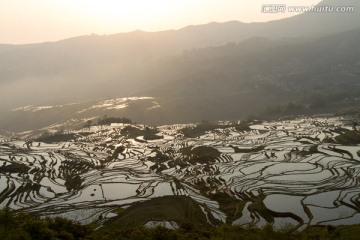 元阳梯田 多依树梯田风光