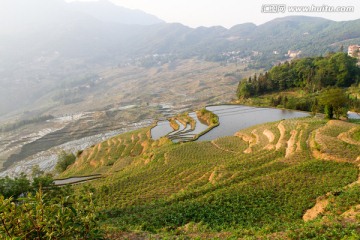 元阳梯田 坝达景区风光