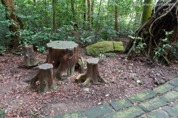 树桩桌凳