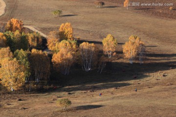 坝上风光 北沟秋景