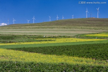 油菜花与大风车