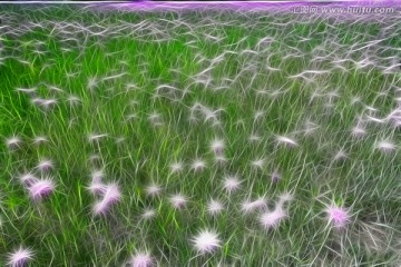 草原花海 電腦畫