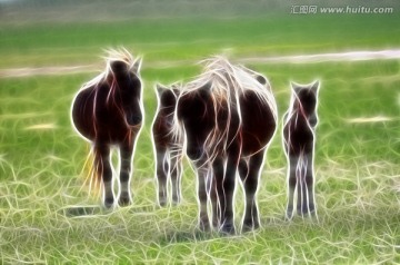 蒙古馬 抽象畫