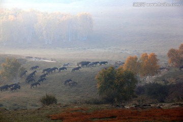 坝上风光 敖包吐