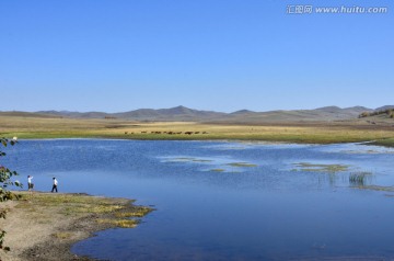 坝上风光 野鸭湖