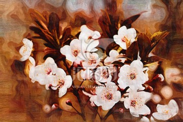 油畫(huà) 裝飾畫(huà) 無(wú)框畫(huà) 花朵