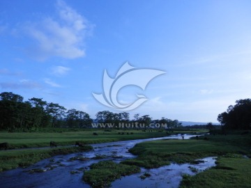 亚热带森林草原 河流