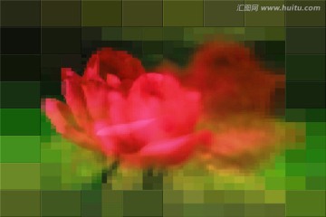 抽象畫(huà)月季花 無(wú)框畫(huà) 裝飾畫(huà)