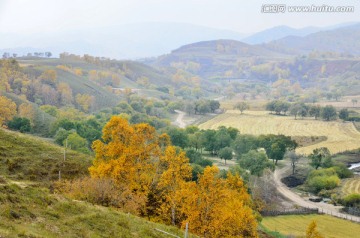 坝上风光 蛤蟆坝