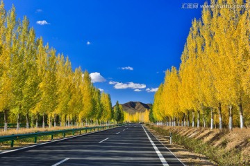 秋天的道路