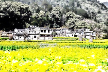 水彩畫 田園居