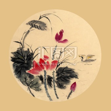 裝飾畫 插畫 掛畫 扇面荷花