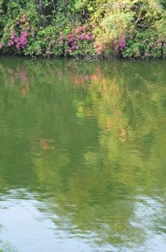 莲花山 湖光山色