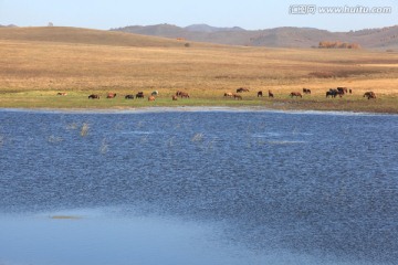 坝上风光 野鸭湖