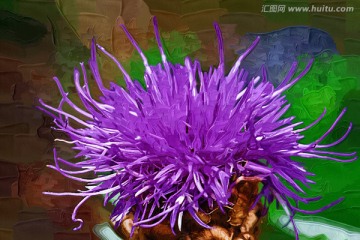 抽象野花 電腦畫