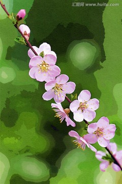 抽象野花 電腦畫(huà)