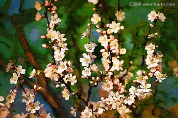 抽象野花 電腦畫(huà)