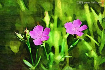 抽象花卉 電腦畫
