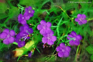 抽象花卉 電腦畫