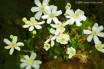 抽象花卉 電腦畫(huà)