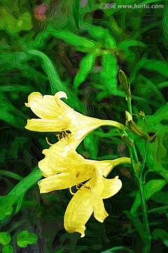 抽象花卉 電腦畫