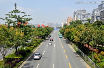 道路