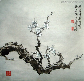 國畫白梅花