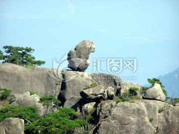 黄山石猴观海