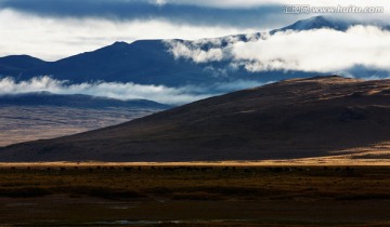 云山牛羊