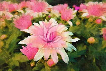 花卉裝飾畫(huà) 菊花