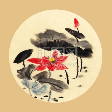 裝飾畫 插畫 扇面畫 荷花