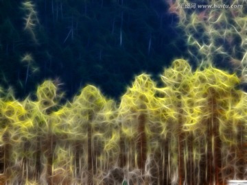 抽象森林 电脑画