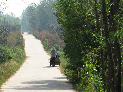 乡村公路 村村通水泥路