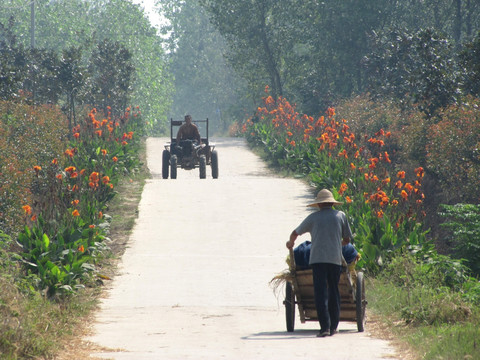 乡村公路 村村通公路