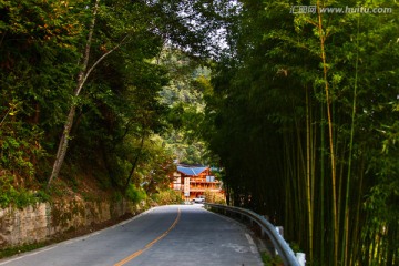 海螺沟磨西镇竹林山路