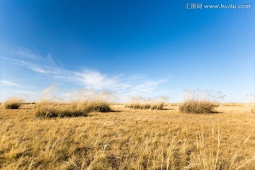 锡林浩特草原秋色