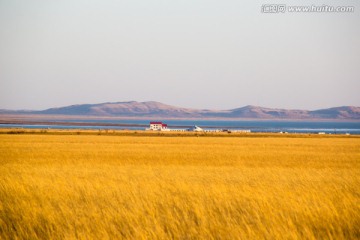 锡林浩特草原秋色