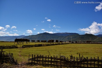 依拉草原