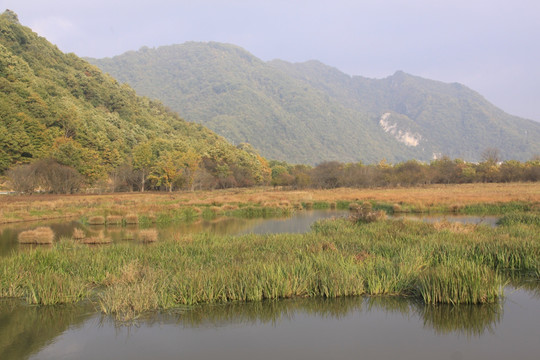 湿地公园