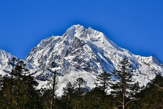 贡嘎雪山主峰