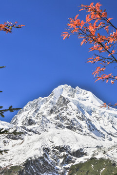 贡嘎山山峰