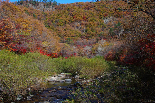 蒲石河风光