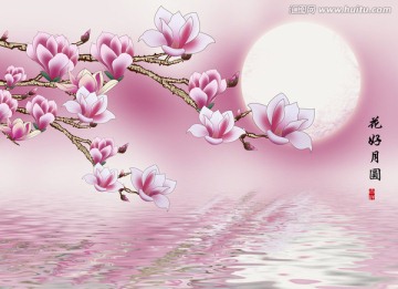 花好月圓 玉蘭