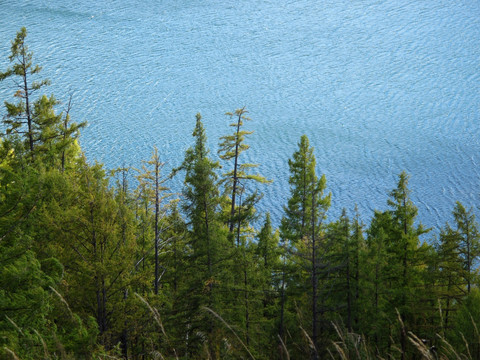 阿尔山 驼峰岭天池森林