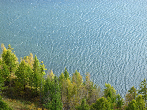 阿尔山 驼峰岭天池森林