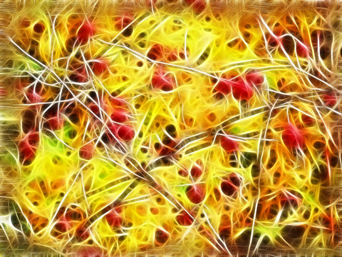 紅色之果 電腦畫