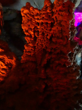 红珊瑚 钟乳石奇观