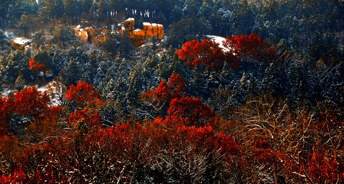 暖色调国画般泰山冬天雪景