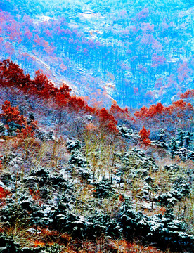 国画泰山冬景